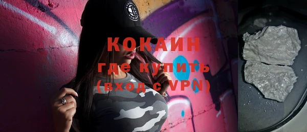 индика Армянск