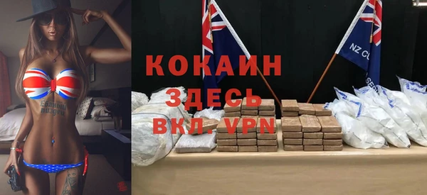 индика Армянск
