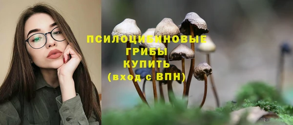 индика Армянск