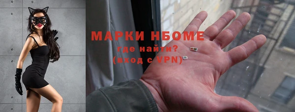 индика Армянск