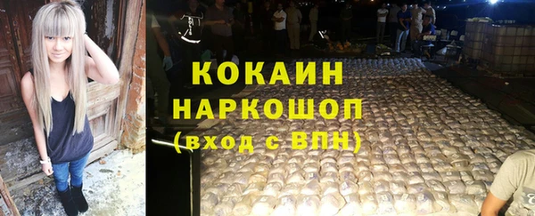индика Армянск