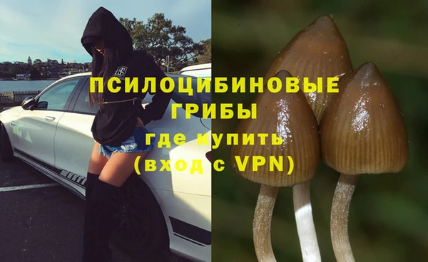 гашик Аркадак