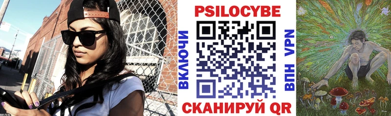 Псилоцибиновые грибы Psilocybe  как найти наркотики  Серов 