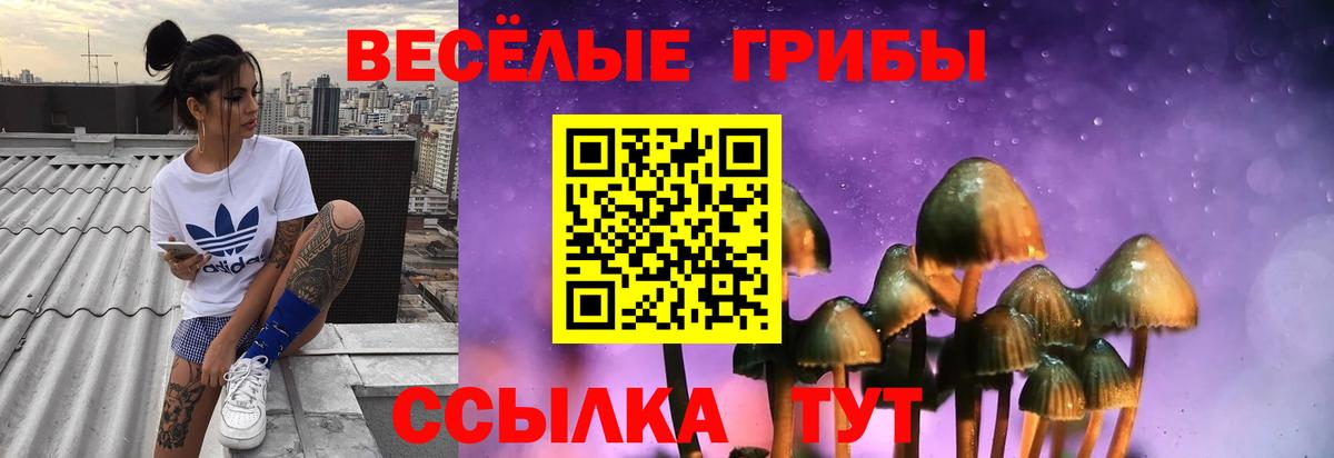 Псилоцибиновые грибы GOLDEN TEACHER  Вход с VPN  Серов 